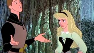 Sleeping Beauty - Once upon a dreams