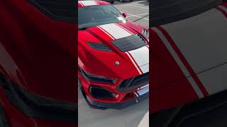2026 Shelby Super Snake Mustang! 🤍