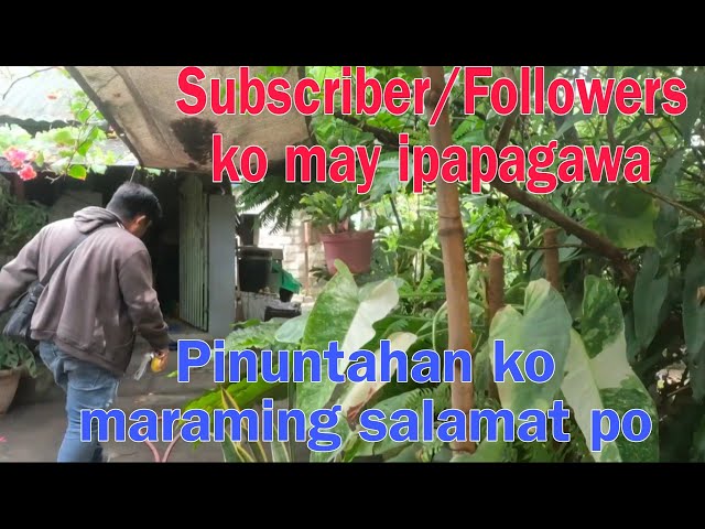 Subscriber Followers may ipapagawa ko may ipapagawa Tara puntahan natin. class=