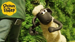 Shaun the Sheep 🐑 The Last Puzzle - Cartoons for Kids 🐑 Full Episodes Compilation [1 hour]