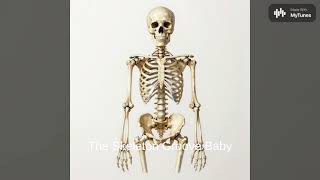 The Skeleton Groove