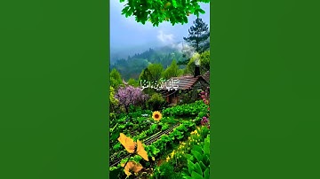 تلاوة خاشعة ومؤثرة الشيخ محمود البنا (إن الله وملائكته يصلون على النبي@  #quran #اكسبلور #fypシ
