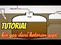 cara membuat bio gas dari kotoran sapi #caramembuatbiogas #biogas #biogasdarikotoransapi