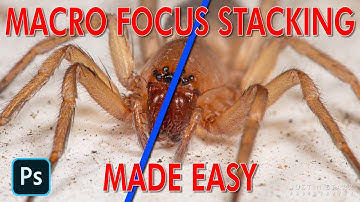 Macro Focus Stacking Made Easy - TUTORIAL