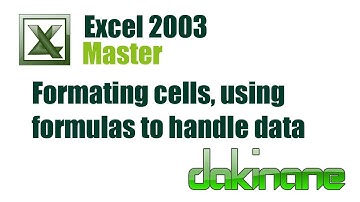 Excel 2003 - Format cells and use formulas to calculate