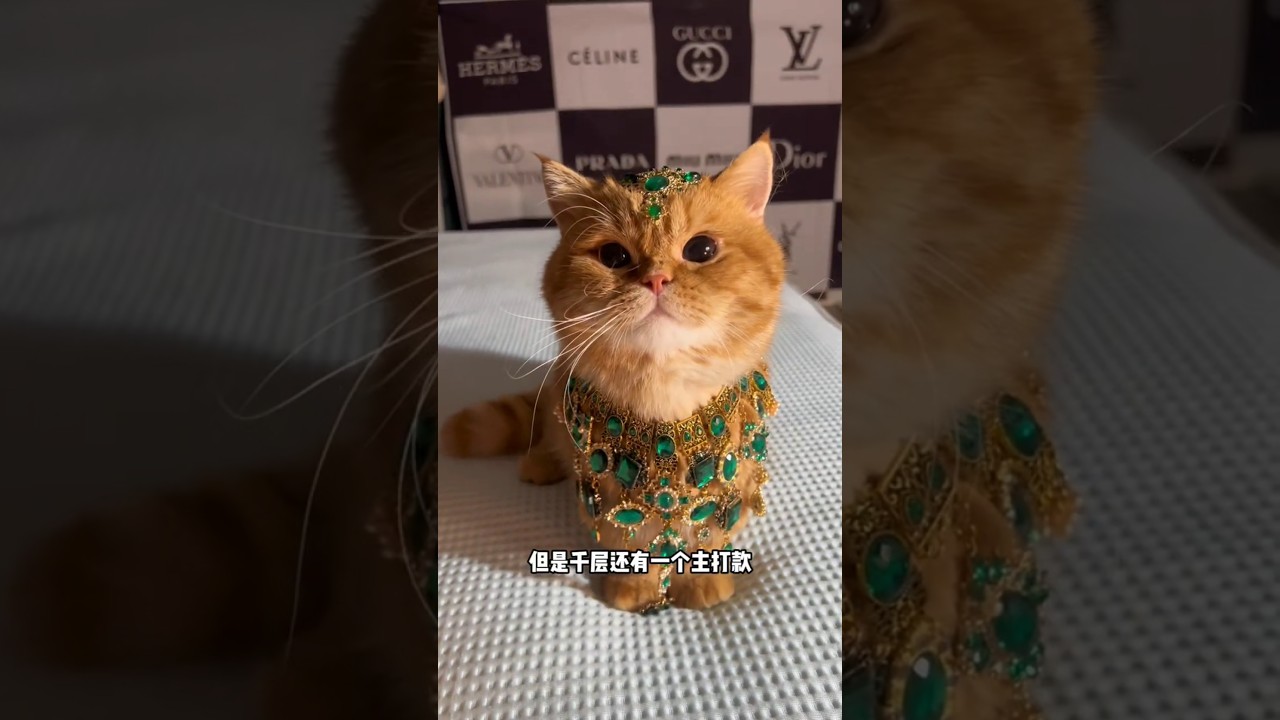 pure girlly vibe😻⚡💫❤️