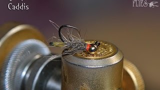 Jig Piped Caddis - Fly Tying with G.Zingaro