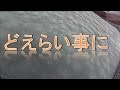 ﾌﾛﾝﾄｶﾞﾗｽが【ｳﾛｺ状】に‼これは動くと事故る　《I can't see the front due to the ice.》