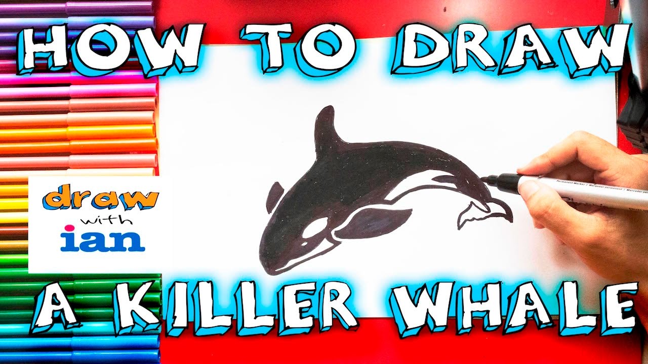 30+ Top For Easy Orca Cartoon Drawing | Charmimsy