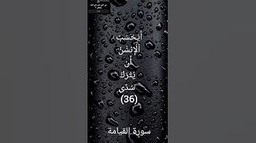 ايحسب الإنسان أن يترك سدى"|تلاوة خاشعة"|سورة القيامة