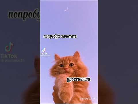 ‘Сборник -Попробуй зачитать-’