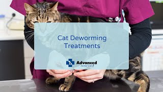 Cat Deworming Treatments
