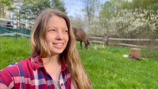 Let’s catch up! (NEW TRUCK!🤩) by The Project Equestrian 2,333 views 4 days ago 14 minutes, 5 seconds