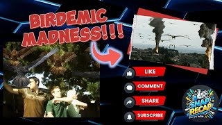 Bird Chaos! Witness the Most Ridiculous CGI Bird Attack Ever – Prepare for Hilarious Disaster!