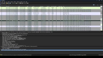 Zscaler ZCC   Wireshark Time Setting #shapeskills