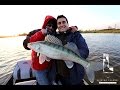 Fishing Duell 5/Big L vs Johnny/ kleine vs große Gummifische/Raubfisch angeln/Zander, Hecht