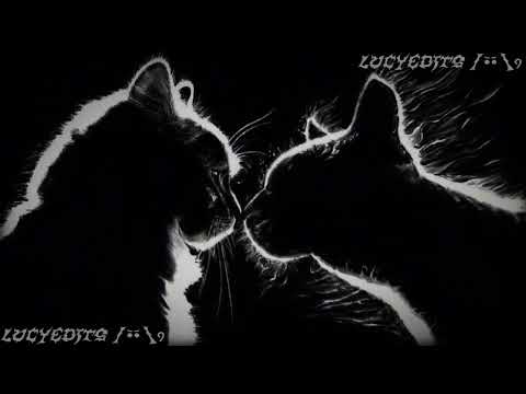 Ship edit audios for ur forgotten love +TIMESTAMPS ||LucyEdits||