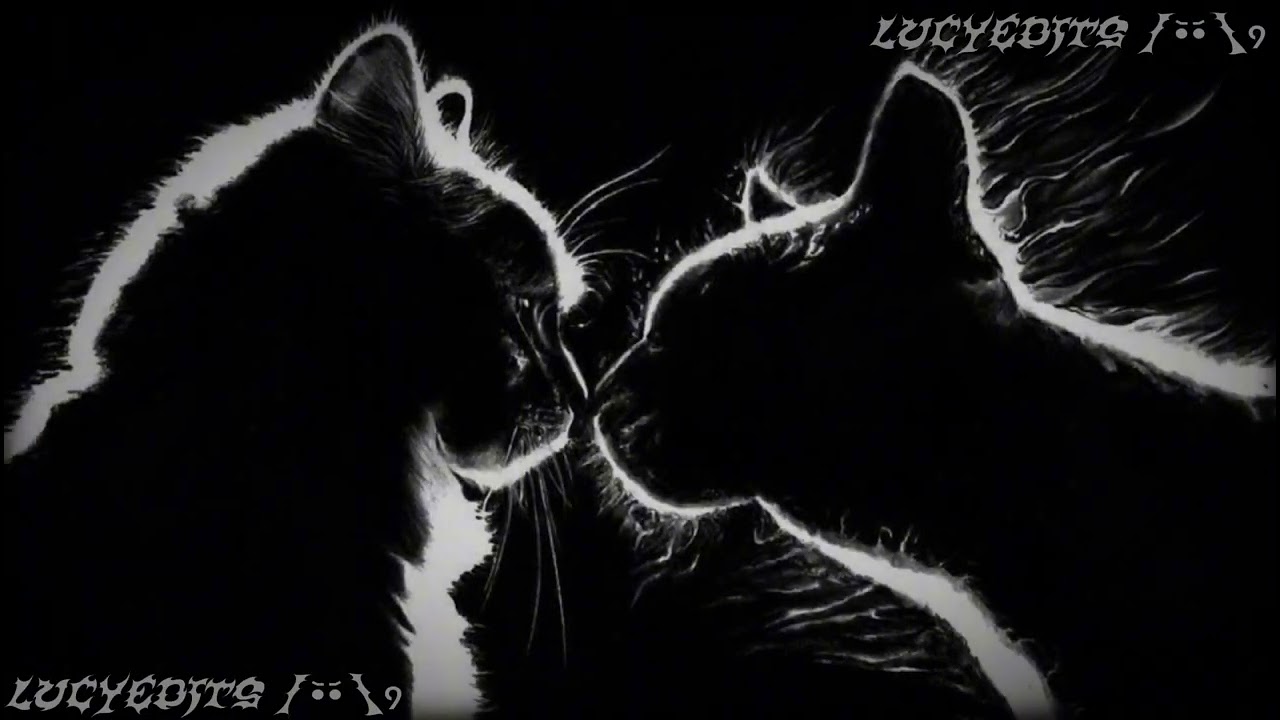 Ship edit audios for ur forgotten love +TIMESTAMPS ||LucyEdits||