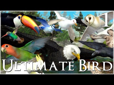 Time to Fly!! 🐦 Ultimate Bird Simulator - Episode #1