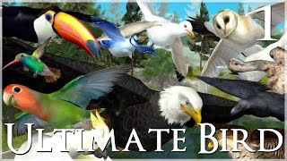 Time to Fly!!  Ultimate Bird Simulator  Episode #1