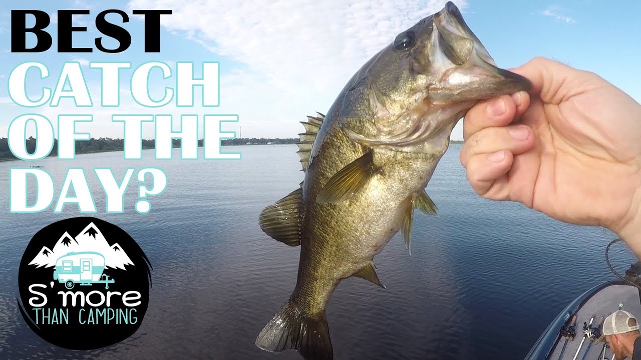 Fishing in Lake Arbuckle Avon Park Florida YouTube