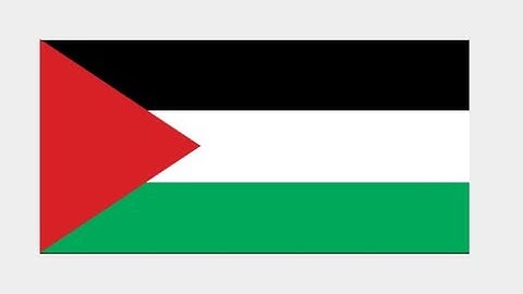 Palestine Flag | HTML CSS