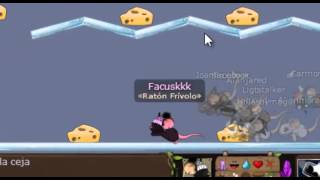1 4k first! Facuskkk | TRANSFORMICE