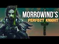 Morrowinds ideal knight who was also loved by vivec  salyn sarethi