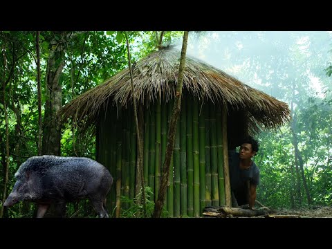 CAMPING MEMBUAT SHELTER BAMBU DI HUTAN UNTUK MENGINAP ,DIGUYUR HUJAN DERAS SEHARIAN