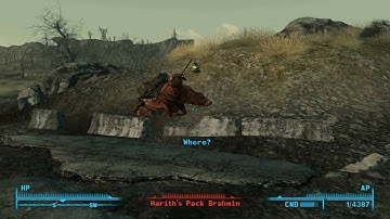 Fallout 3 Brahmin Tipping
