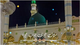 Tu Shah E Khuban Tu Jane Jana | New Naat Status | 11vi sharif status | Naat WhatsApp Status 2022 screenshot 3