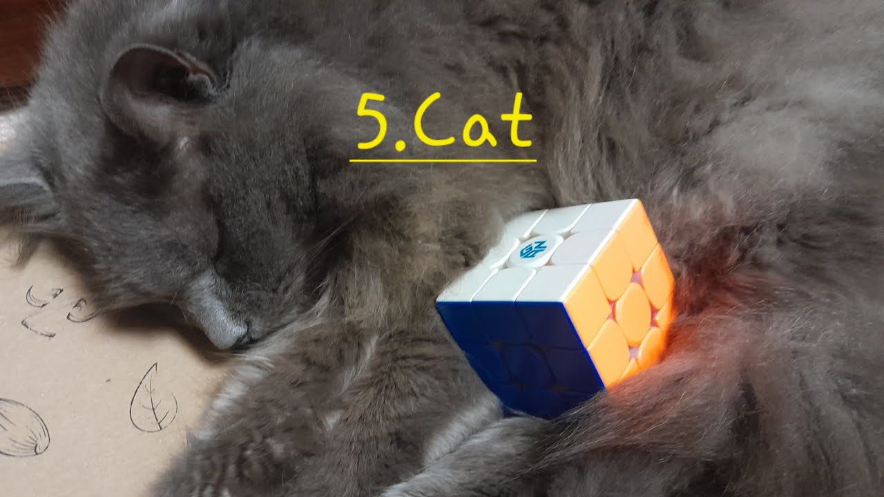 5 Types Of Non-Cubers