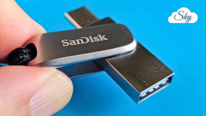 SanDisk Ultra Dual - clé USB - 256 Go (SDDDC2-256G-G46)