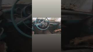 Dash of 57 chevy belair we found in the woods #57chevy #classiccars #oldcarrescue
