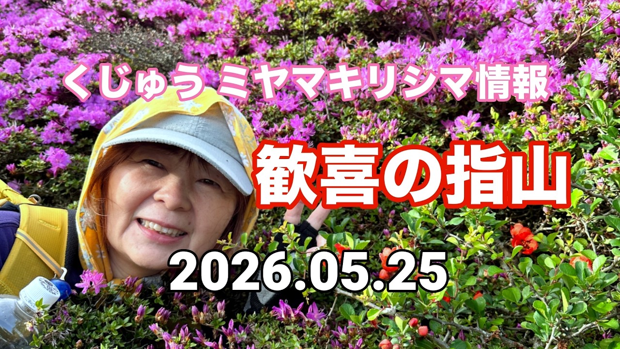 2026 Kuju Miyama Kirishima Report] Jubilant Yubiyama! No. 286