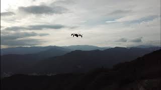 宮崎県諸塚村　空撮風景