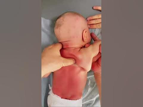 Актриса Моника Масератимен онлайн порно көру