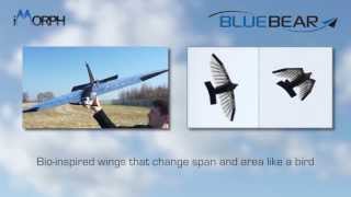 bird uav wings