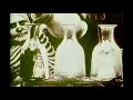 Nick Craft - What did I know about love?
