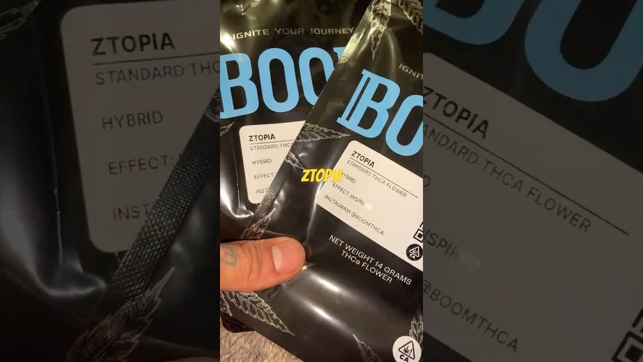 BOOMTHCA OZ / ZTOPIA