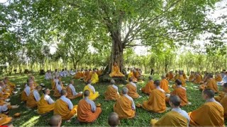 Kinh NIKAYA Giảng Giải - Biết Tu Không Sợ Hãi  ( MAHANAMA - Tương Ưng 5 ) *