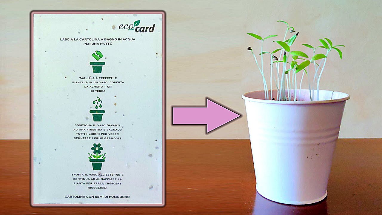 Eco-Card® Carta Ecologica con Semi MIX FIORI, Biodegradabile