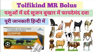 Tolfikind Mr Tablet Vet Mankind By Ashutosh Singh Chauhan
