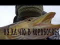 ну ка что в коробочке