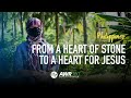 From a heart of stone to a heart for jesus