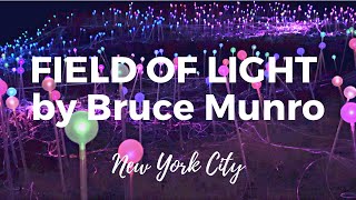 FIELD OF LIGHT by Bruce Munro at FREEDOM PLAZA in Manhattan, New York City