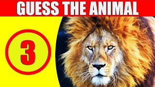 Guess the Animal in 3 SECONDS | 100 Random Animals | Game for Kids, Preschoolers, and Kindergarten