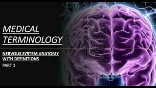 BASIC TERMINOLOGIES OF CENTRAL NERVOUS SYSTEM - MEDICAL TERMINOLOGIES WITH EXAMPLES - PART - 1 :) screenshot 5