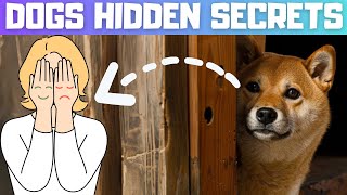 TOP 10 Dog Secrets that Humans don’t know! Dog Facts