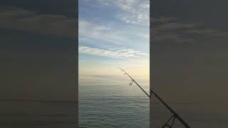 ❗ Mancing pinggiran josjis pokoknya #mancing #mancingmania